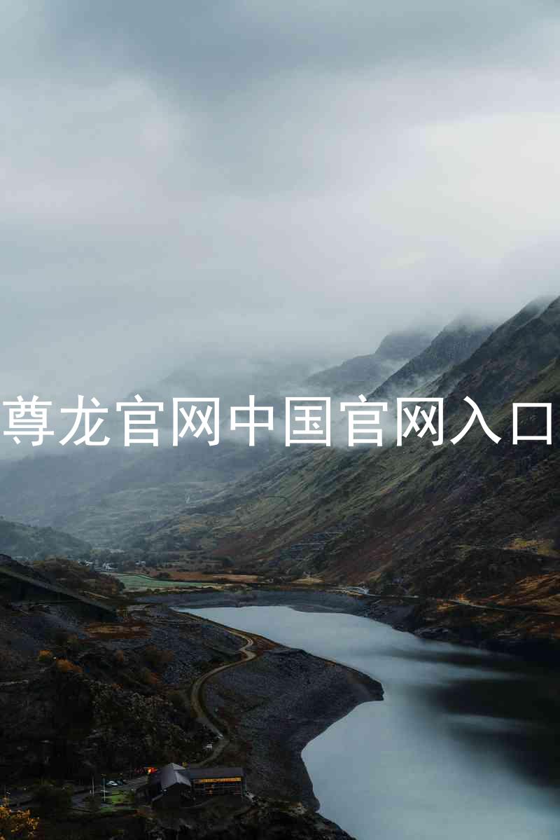 尊龙官网中国官网入口
