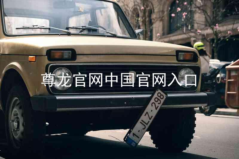 尊龙官网中国官网入口
