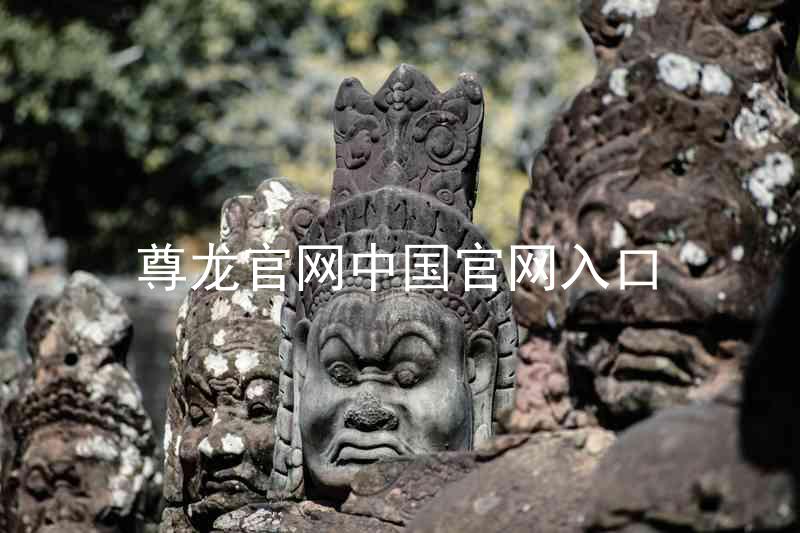 尊龙官网中国官网入口