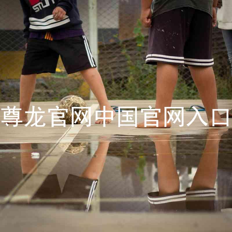 尊龙官网中国官网入口