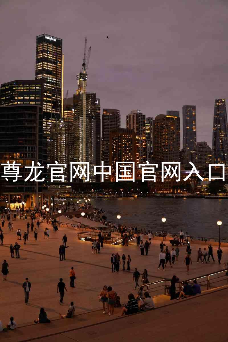 尊龙官网中国官网入口